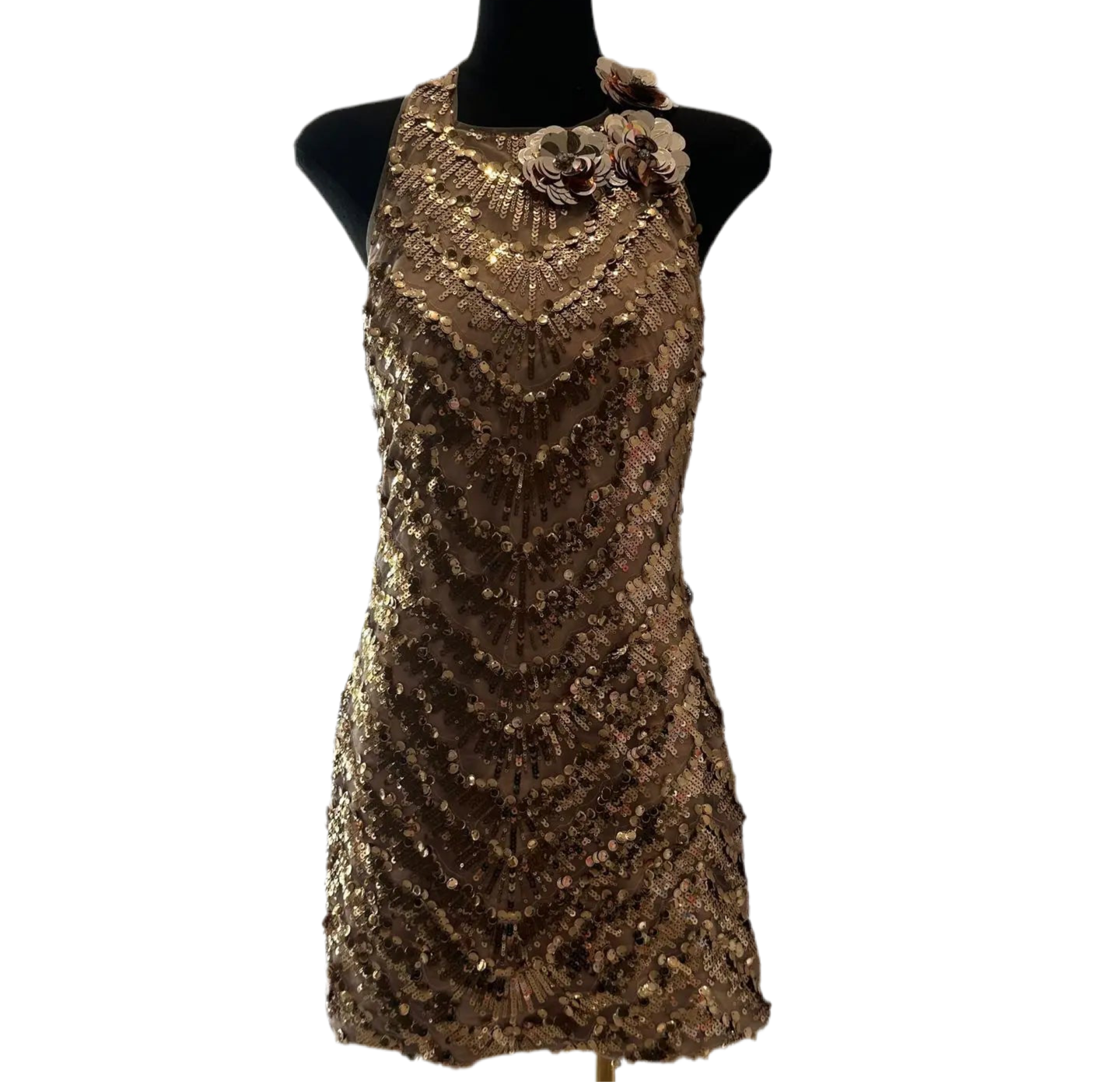 THARELLE  Sleeveless Golden Evening Gown