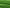 VERDÉA Green Maxi Dress
