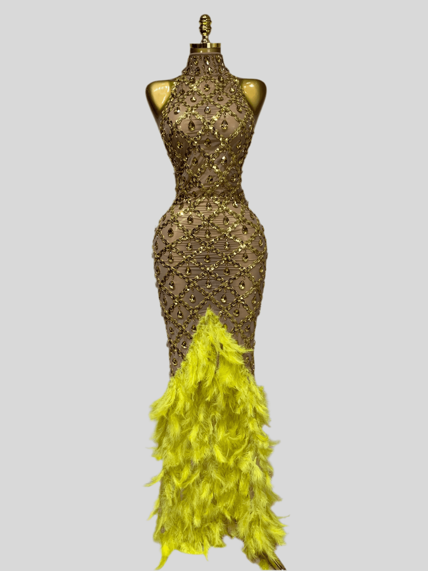 Aviana - A long embellished dress with feathers. - Lu Di Lusso