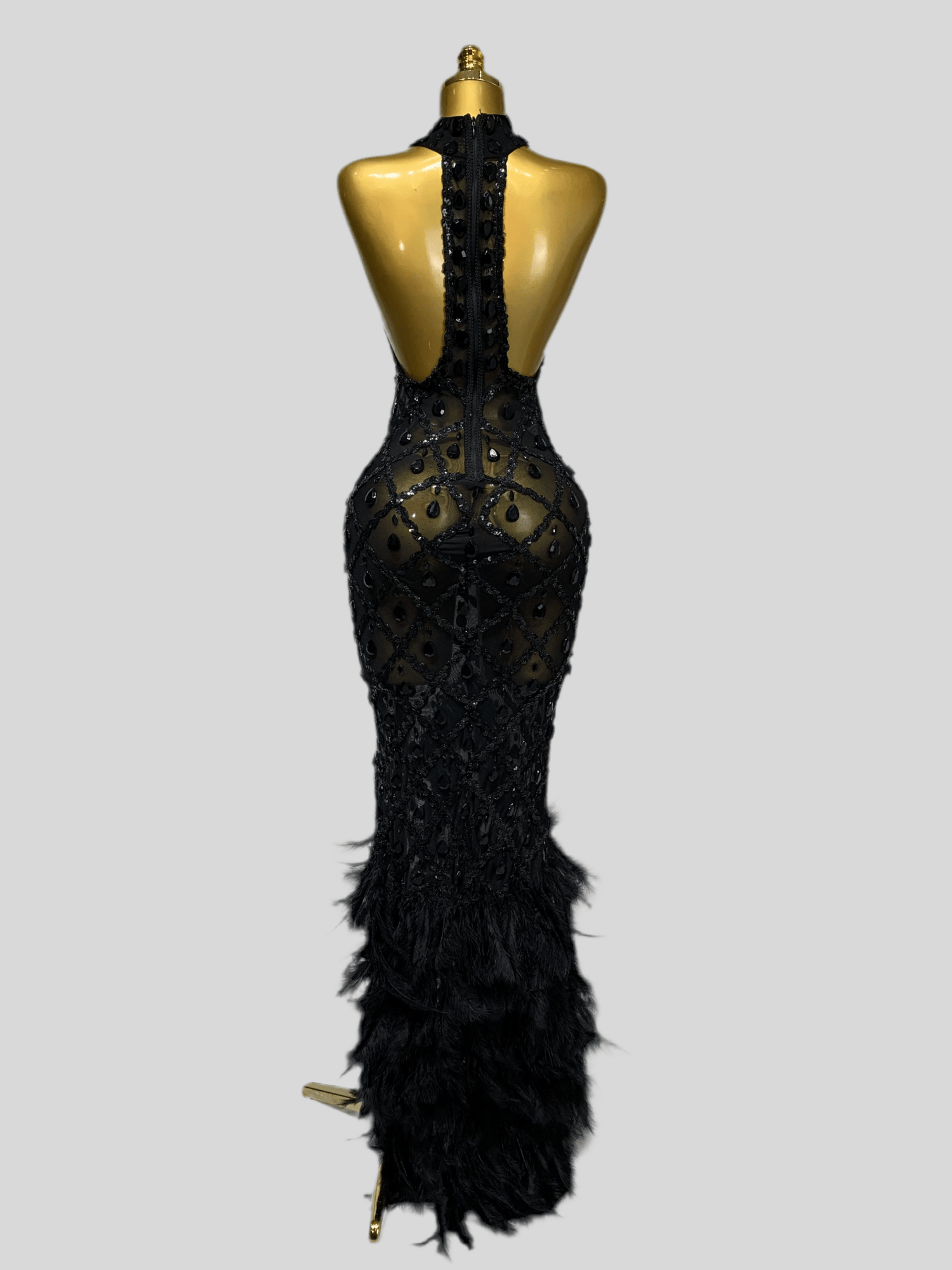 Aviana - A long embellished dress with feathers. - Lu Di Lusso
