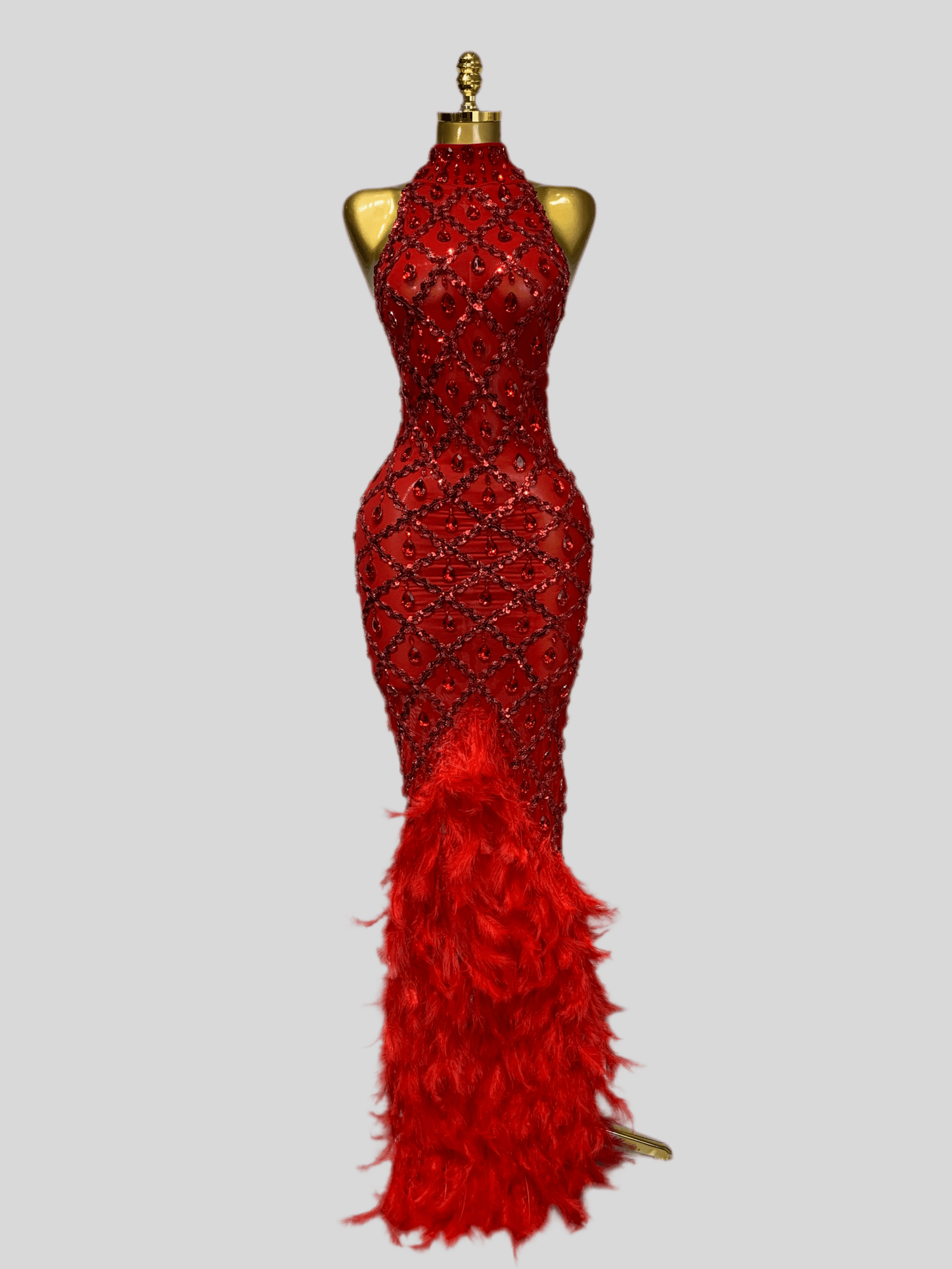 Aviana - A long embellished dress with feathers. - Lu Di Lusso