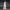 Cindebelle beaded Top & Wide - Leg pants set - Lu Di Lusso