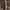 LEOPARIS Halter Maxi Dress - Lu Di Lusso