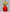Perlamode Short pearl - embellished dress with feathers - Lu Di Lusso