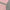 Rosé Luxe pink bandage 2 - piece set - Lu Di Lusso