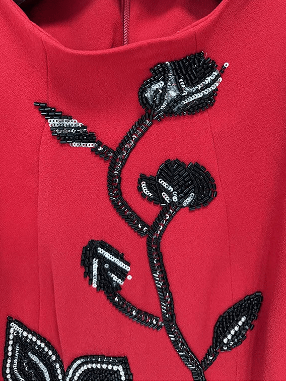 RUBYN Embroidered Evening Dress – Elegant Long Sleeve Gown - Lu Di Lusso